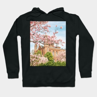 Cherry Blossom 1 Hoodie